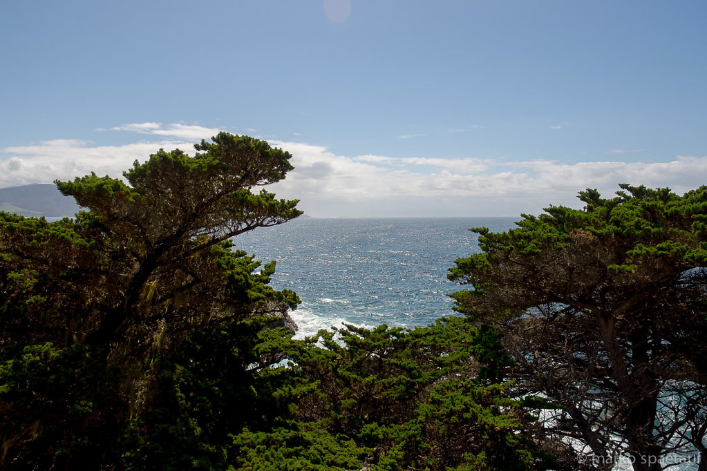 2014-03-roadtrip-usa-97.JPG